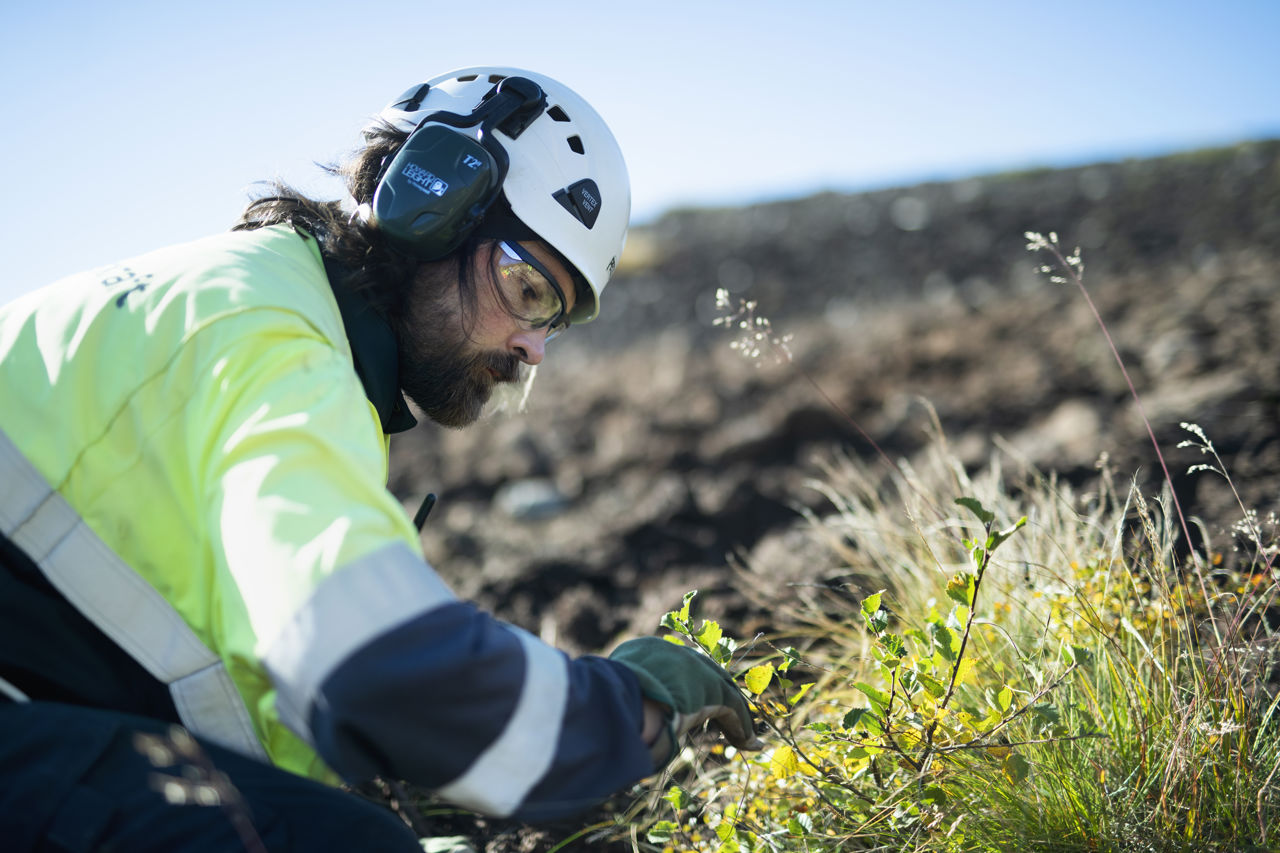 Mann i verneutstyr ser på blomster