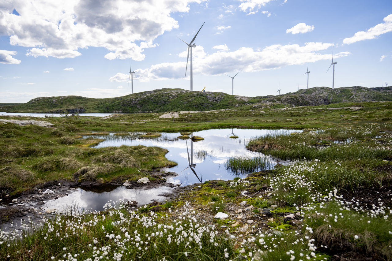 Vindmøller på fjellet